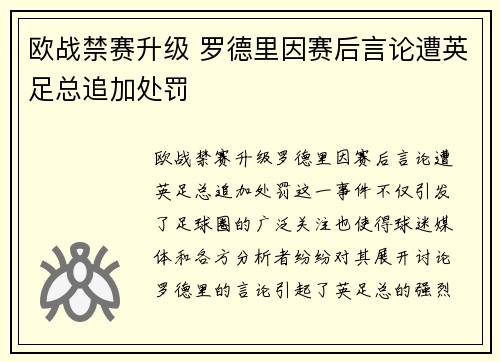 欧战禁赛升级 罗德里因赛后言论遭英足总追加处罚 欧战禁赛升级 罗德里因赛后言论遭英足总追加处罚